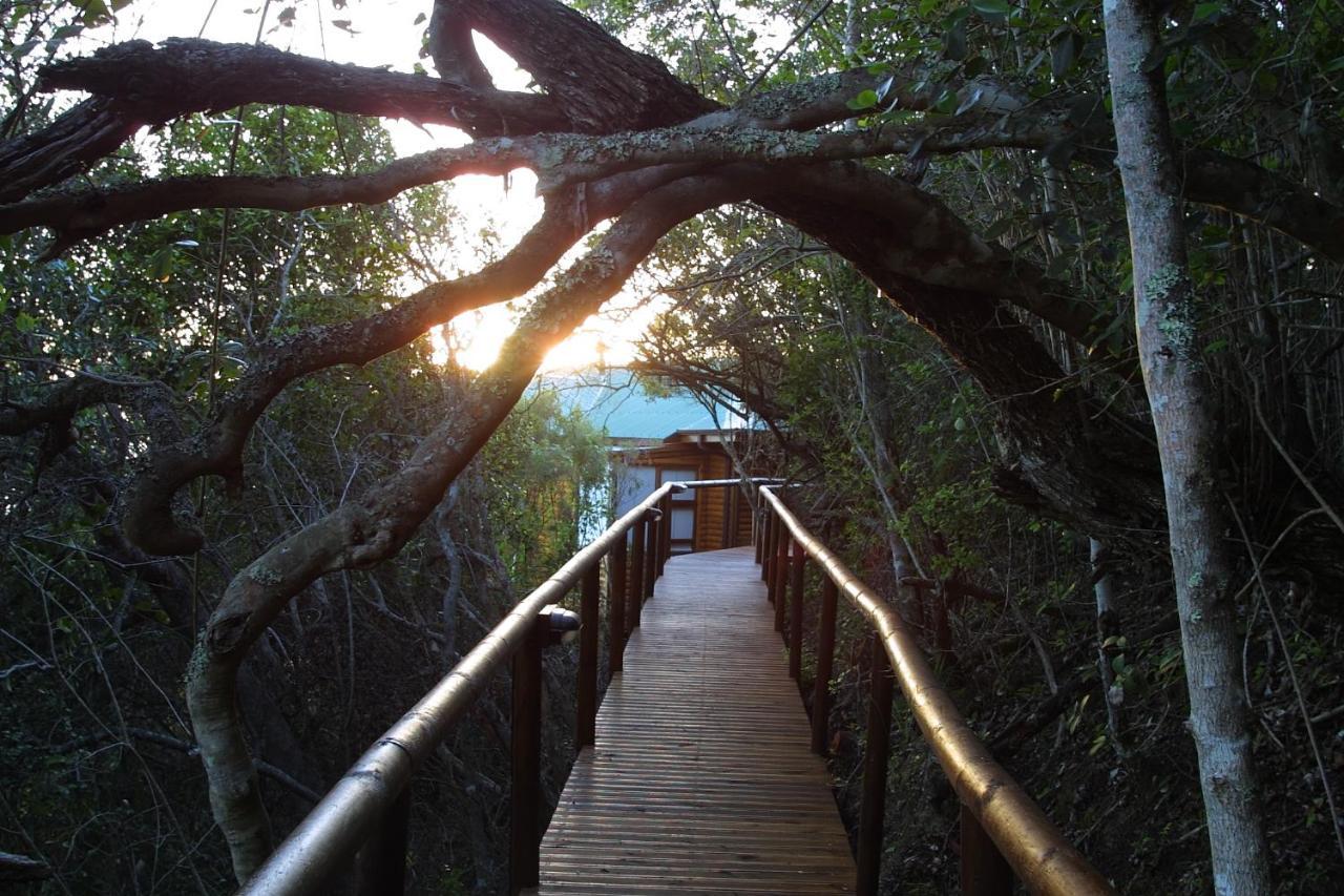 Boardwalk Lodge - Self-Catering Wildernis Exterior photo